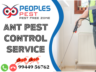 Ant Pest Control Service in Trichy